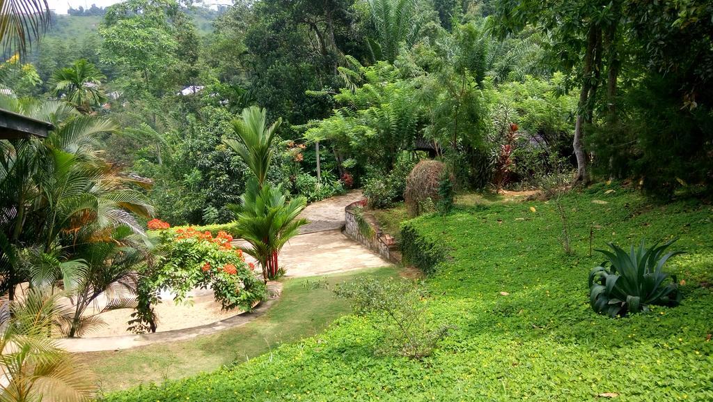 Ferienwohnung Tea Leaf Retreat Kandy Exterior foto