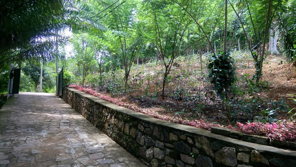 Ferienwohnung Tea Leaf Retreat Kandy Exterior foto